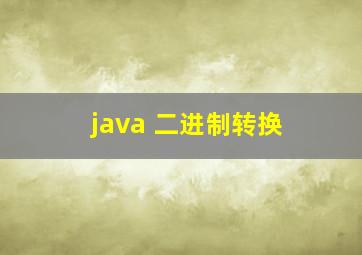 java 二进制转换